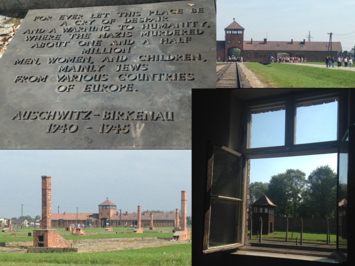 Auschwitz Birkenau.001.jpeg