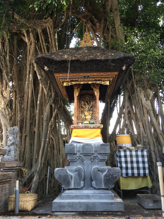 Photo 02-10-17, 11 20 23