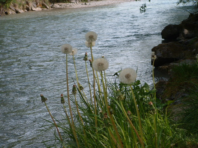 Stream_at_Garmisch-Partenkirchen_Pic1
