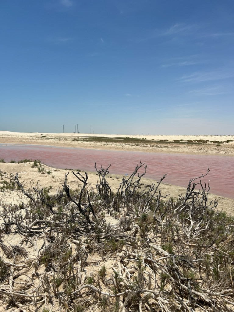 Pink Lagoon in Oman