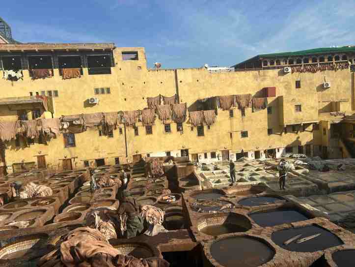Chouara Tannery