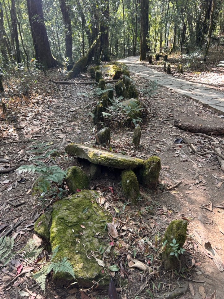 Stone table Mawphlang Forest