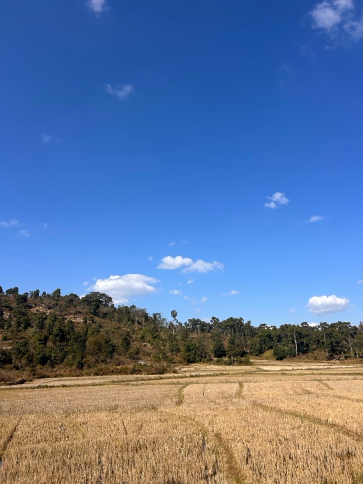 Fields near Nartiang Monolith Garden
