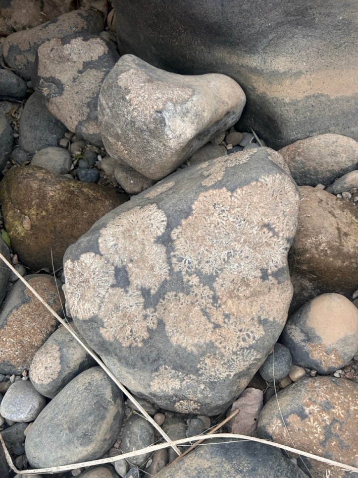 Shnongpdeng, Meghalaya