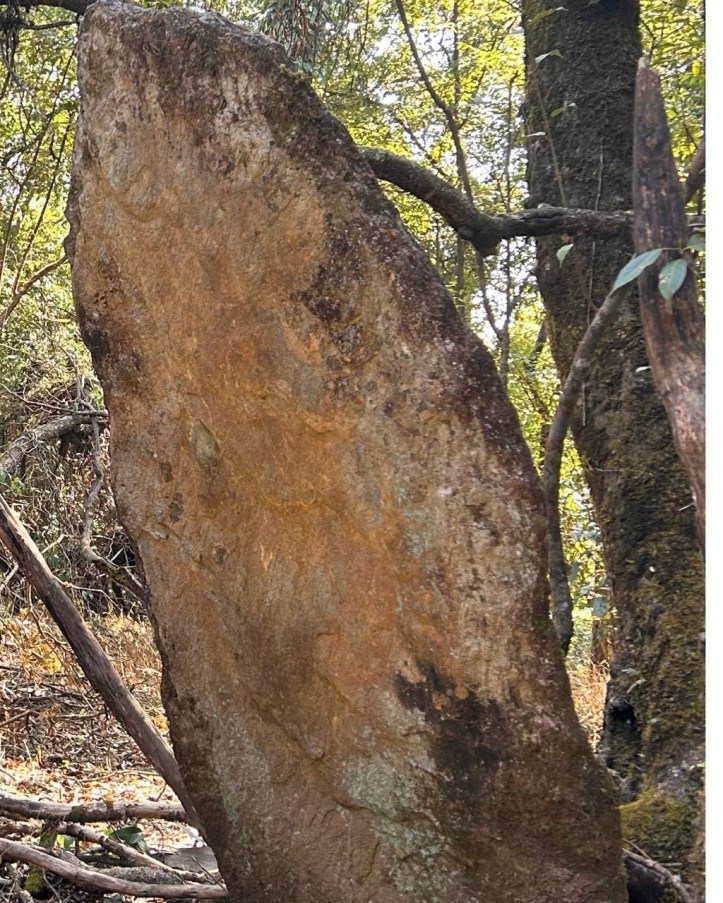 Menhir near the sacrificial altar in the Mawphlang Forest