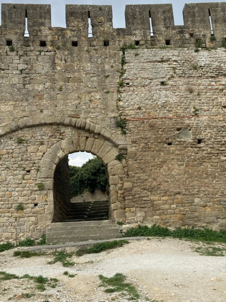 Carcassonne fort walls